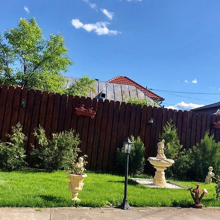 Casa Alexia Ξενοδοχείο Haţeg Εξωτερικό φωτογραφία