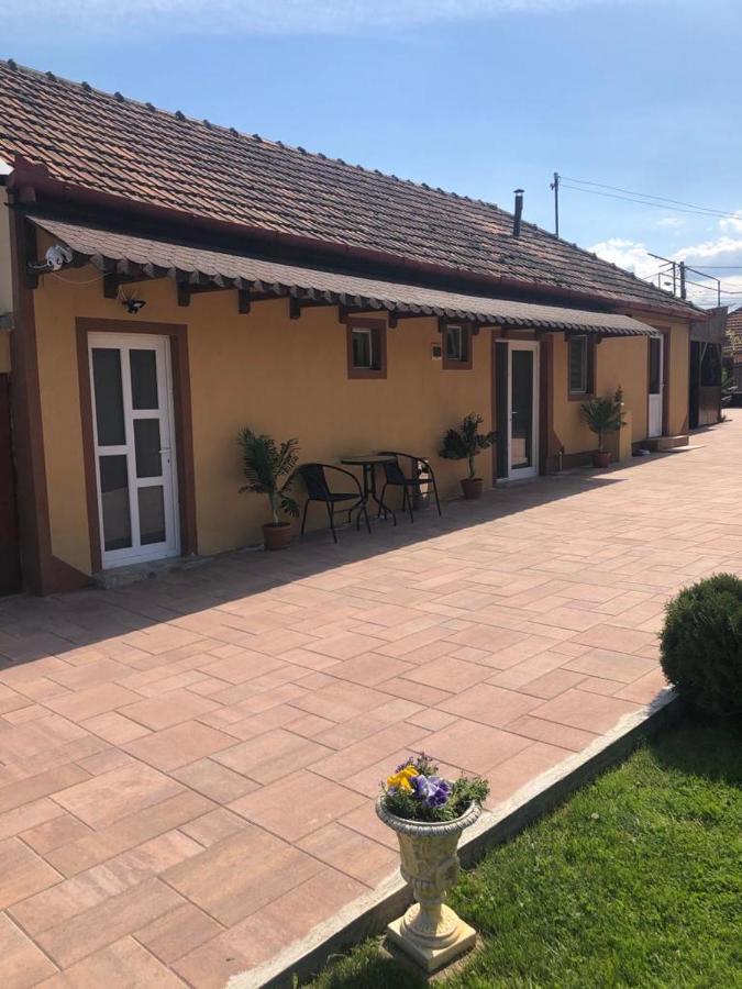 Casa Alexia Ξενοδοχείο Haţeg Εξωτερικό φωτογραφία