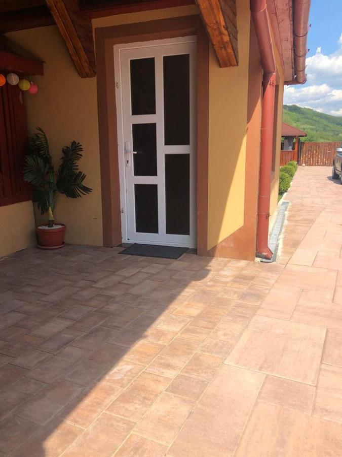 Casa Alexia Ξενοδοχείο Haţeg Εξωτερικό φωτογραφία