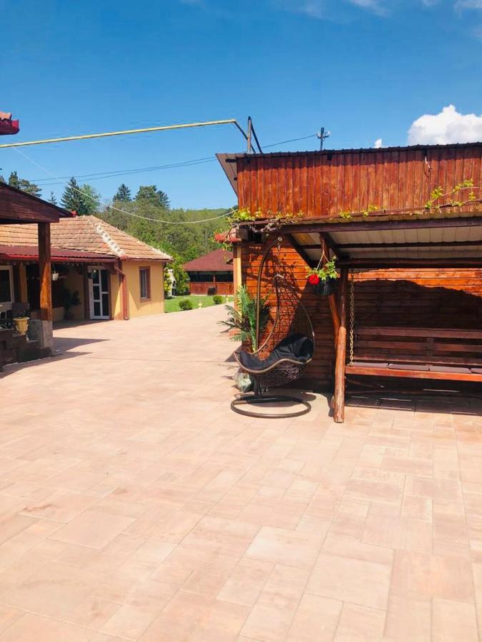 Casa Alexia Ξενοδοχείο Haţeg Εξωτερικό φωτογραφία