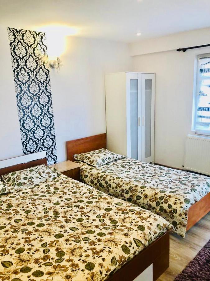 Casa Alexia Ξενοδοχείο Haţeg Εξωτερικό φωτογραφία