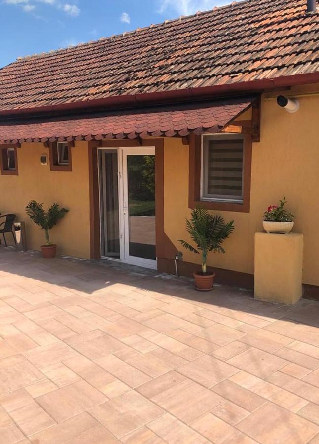 Casa Alexia Ξενοδοχείο Haţeg Εξωτερικό φωτογραφία